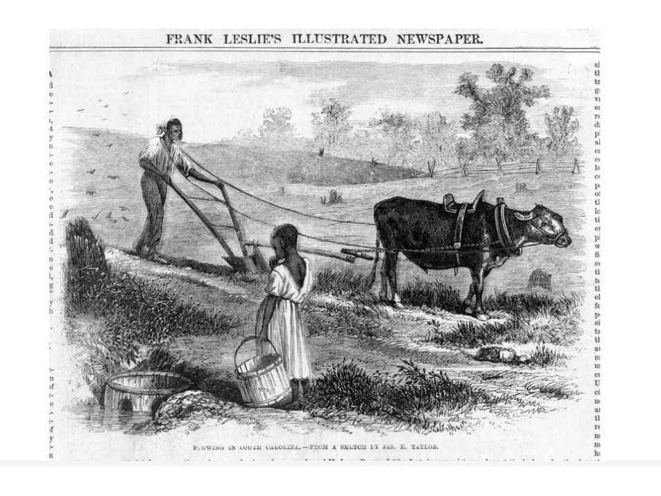 Les femmes dans la société&nbsp;coloniale
